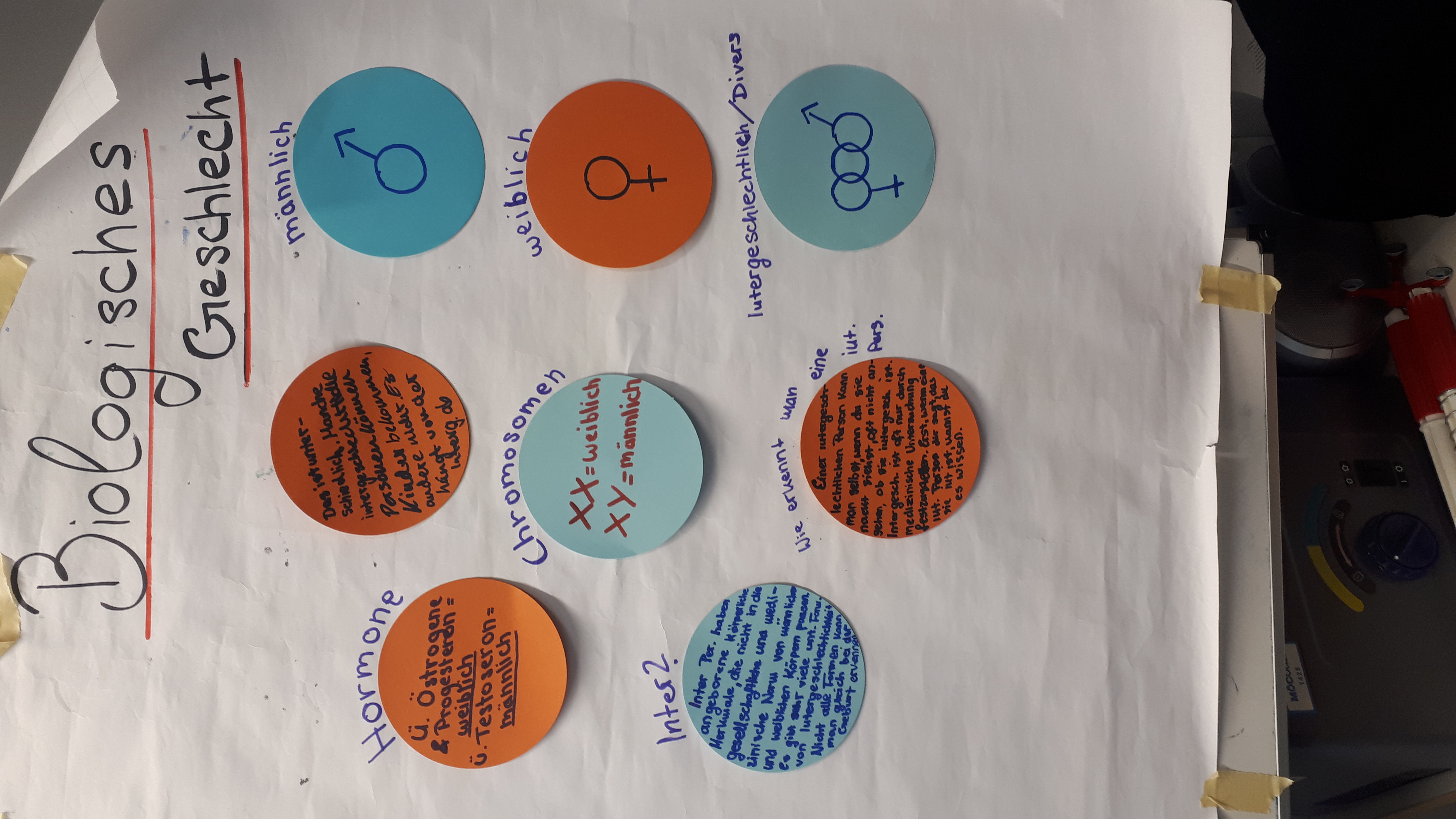 Projekttage3